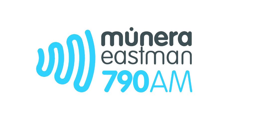 Logo MER